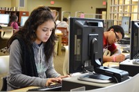 Working in the library Working in the library